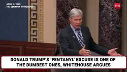 'Nutty & Dangerous': Whitehouse Berates Trump's 'Dumbest' Trade War Against Canada | Watch News Clip