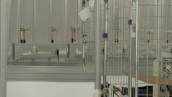 Interiors of London emergency virus hospital Instructional Video