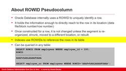 Oracle Database Administration from Zero to Hero - Shrinking Segments (Part 1 of 2) Instructional Video