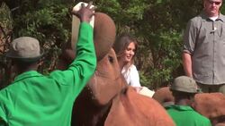 US First Lady watches elephants being fed in Kenya national park Instructional Video