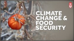 Climate Change and Our Food Supply Instructional Video