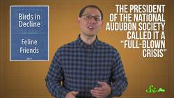 North Americas 3 Billion Lost Birds SciShow News Instructional Video