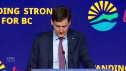 Surrey duty-free shop caught in the crossfire of U.S.-Canada trade war News Clip