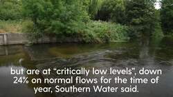 Southern Water becomes latest company to bring in hosepipe ban amid dry weather News Clip
