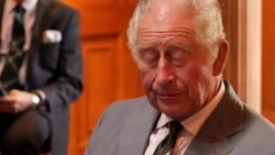 UK: Prince Charles Hosts World Allergy Summit in Scotland. News Clip