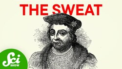 The Mysterious Disease That Wiped Out The Tudors Instructional Video