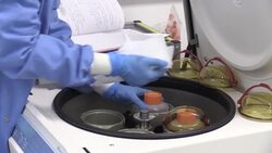 Coronavirus Vaccine - Scientists Work in Lab News Clip