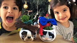 Growing Grass from Seedling Kits Instructional Video