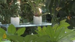 France tourism looks to reopen as coronavirus restrictions ease News Clip