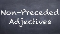 Non-Preceded Adjectives - German 2 WS Explanation - Deutsch lernen Instructional Video