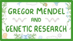 GCSE Biology - Gregor Mendel and the History of Genetics #76 Instructional Video