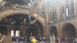 Extinction Rebellion stages lay-down protest in the Natural History Museum News Clip