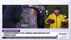Groundhog Day: Punxsutawney Phil Predicts 6 More Weeks Of Winter News Clip