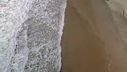 The Beach from Above Stock Footage