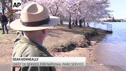 Washington's Tidal Basin has a flooding problem Instructional Video