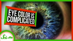 We Found a Bunch of New Eye Color Genes | SciShow News Instructional Video