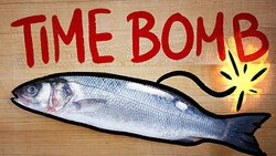 Why fish spoils so fast Instructional Video