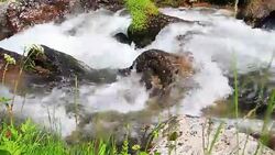 water flowing in a Pyrenean stream Stock Footage