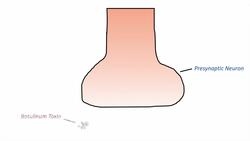 Botulism (Clostridium Botulinum) Pathogenesis, Symptoms, Diagnosis, Treatment, Prevention Instructional Video