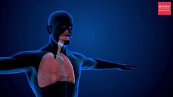 What to do if someone gets an allergic reaction? News Clip