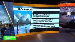 PMorgan's Magee on Low-Carbon Transition News Clip