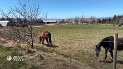 Objections raised over proposed campground in Annapolis Valley News Clip