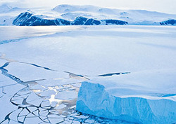 Oceans: Frozen Seas Instructional Video