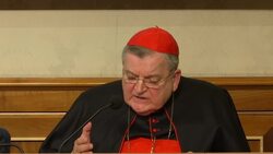 One of pope's conservative critics, US Cardinal Burke, at Italian Senate News Clip