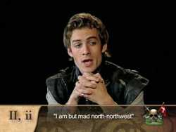 Hamlet 2.2 Interviews with Hamlet, Polonius, Rosencrantz and Guildenstern Instructional Video