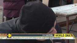 Britain: The Battle Between Tradition And Innovation Over Mince Pies News Clip