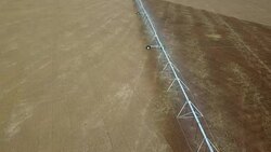 Pivot irrigation used to water plants on a farm. Circling pivot irrigation with drone Stock Footage