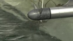 Greta Thunberg sets sail for UN summit News Clip