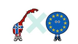 A Norway Style Deal Explained - Brexit Explained. Instructional Video