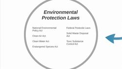 Environmental Law (Intro) Instructional Video