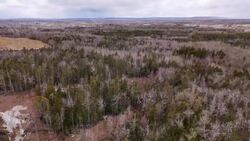 This area was supposed to be a new neighbourhood. But that’s not happening News Clip