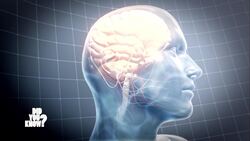 Exploring Fasting: Health Benefits and Risks Instructional Video