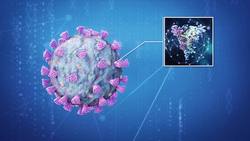 Explainer: How Johnson & Johnson’s single-dose COVID vaccine works Instructional Video