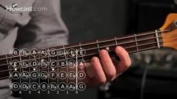 How to Play a D Minor Scale on Bass Guitar Instructional Video