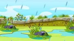 I WONDER - What Plants Live In Wetlands? Instructional Video