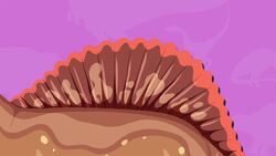 I WONDER - How Did The Spinosaurus Get Is Name? Instructional Video