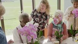 Happy instructor helping active seniors learning to arrange orchid flowers Stock Footage