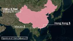 Coronavirus: The confirmed cases around the world News Clip