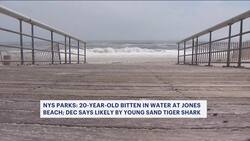 DEC: 20-year-old bitten in water at Jones Beach, mostly likely by young shark Instructional Video