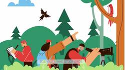 Understanding Bird Migration: The Reasons and Patterns Behind Seasonal Movements Instructional Video