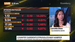 China's Property Ills Worsen News Clip