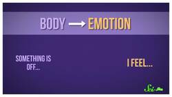 Why Do You Get Hangry? Instructional Video