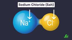 How To Clear Icy Roads, With Science Instructional Video