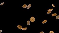 Coffee Beans Falling on Black with Alpha Matte Stock Footage