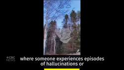 Mi'kmaw man makes videos of life with schizoaffective disorder News Clip