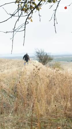 From crime to apples, uncovering lost varieties Instructional Video